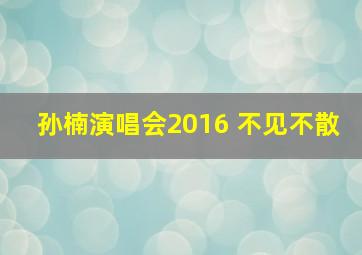 孙楠演唱会2016 不见不散